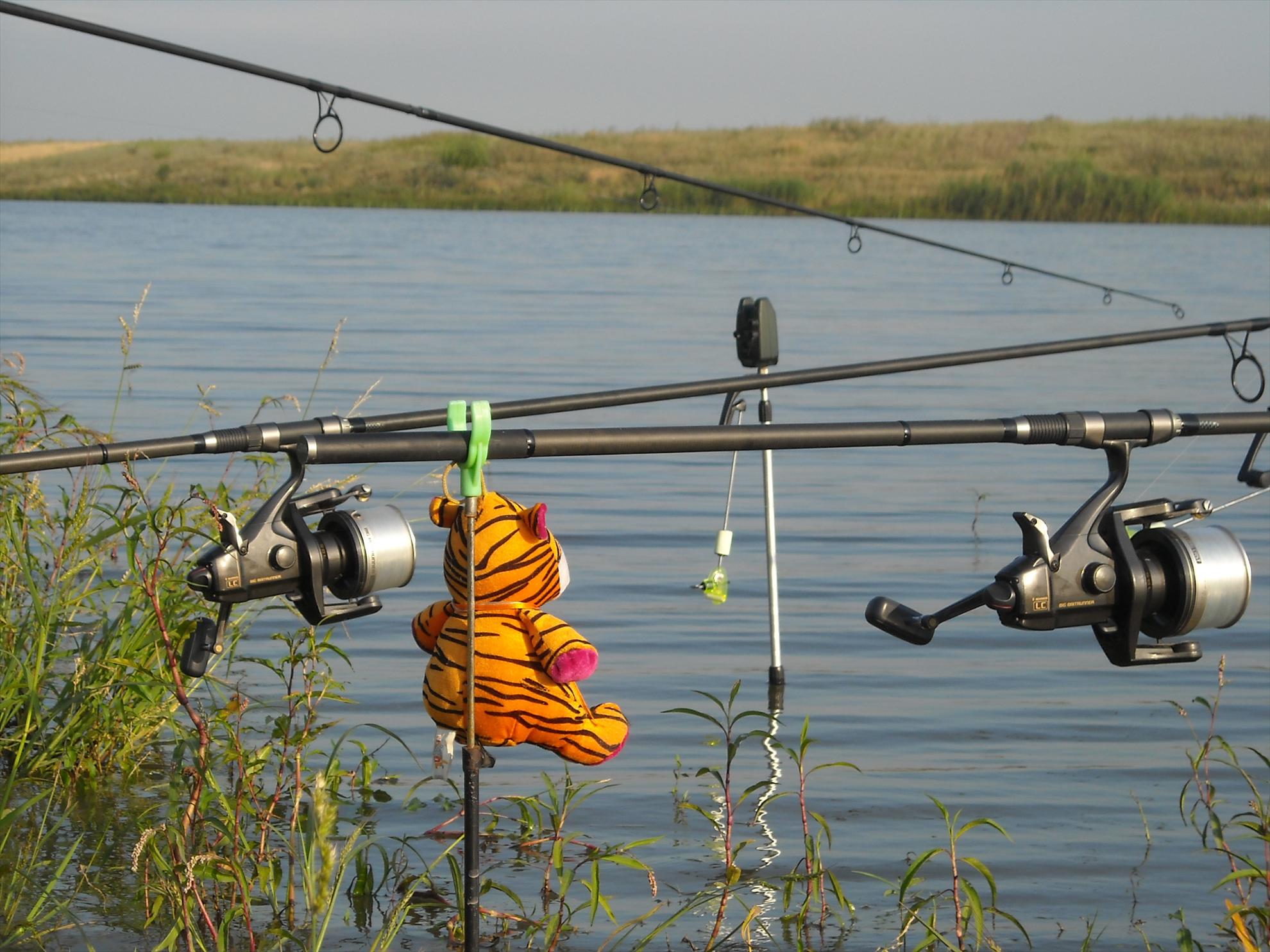 Cupa Romaniei - Hobaia 2010 - dscn6720.jpg